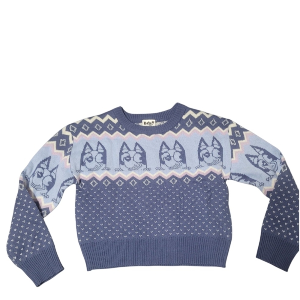 Bluey Patterned Sweater